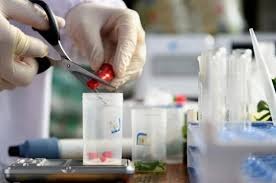 什么是第三方食品檢測機構(gòu)？有什么作用